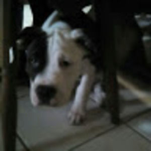 Meet your Posher, Kylea